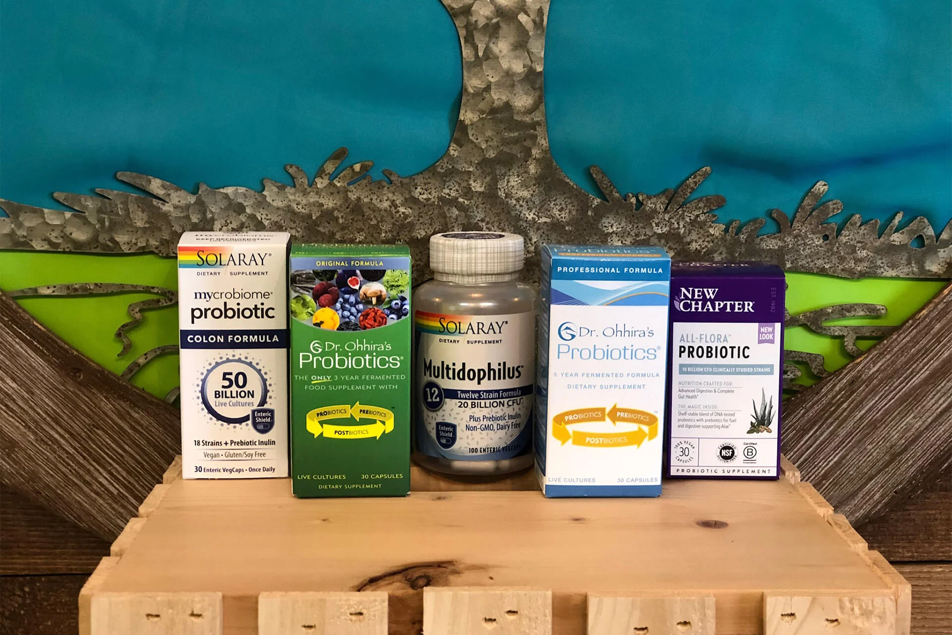 The House of Nutrition Probiotics